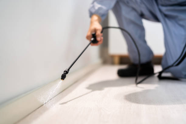 Licensed Pest Control service in Sun Prairie, MT - Show Me Pest Control