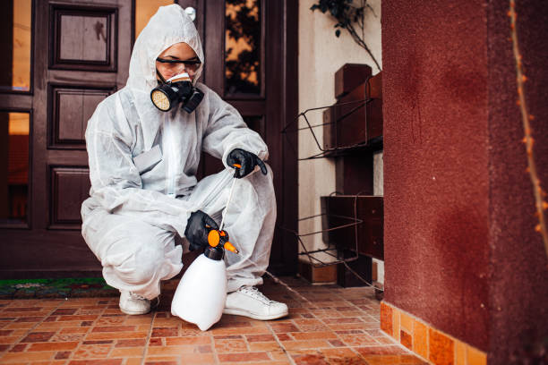 Reliable Wasp Removal contractor in Sun Prairie, MT by Show Me Pest Control