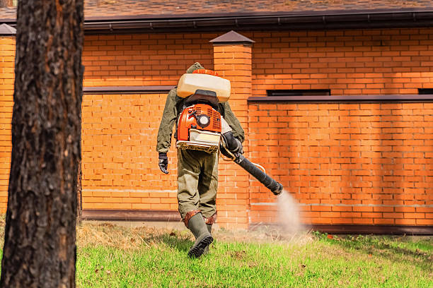 Top rated local Wasp Removal specialists in Sun Prairie, MT